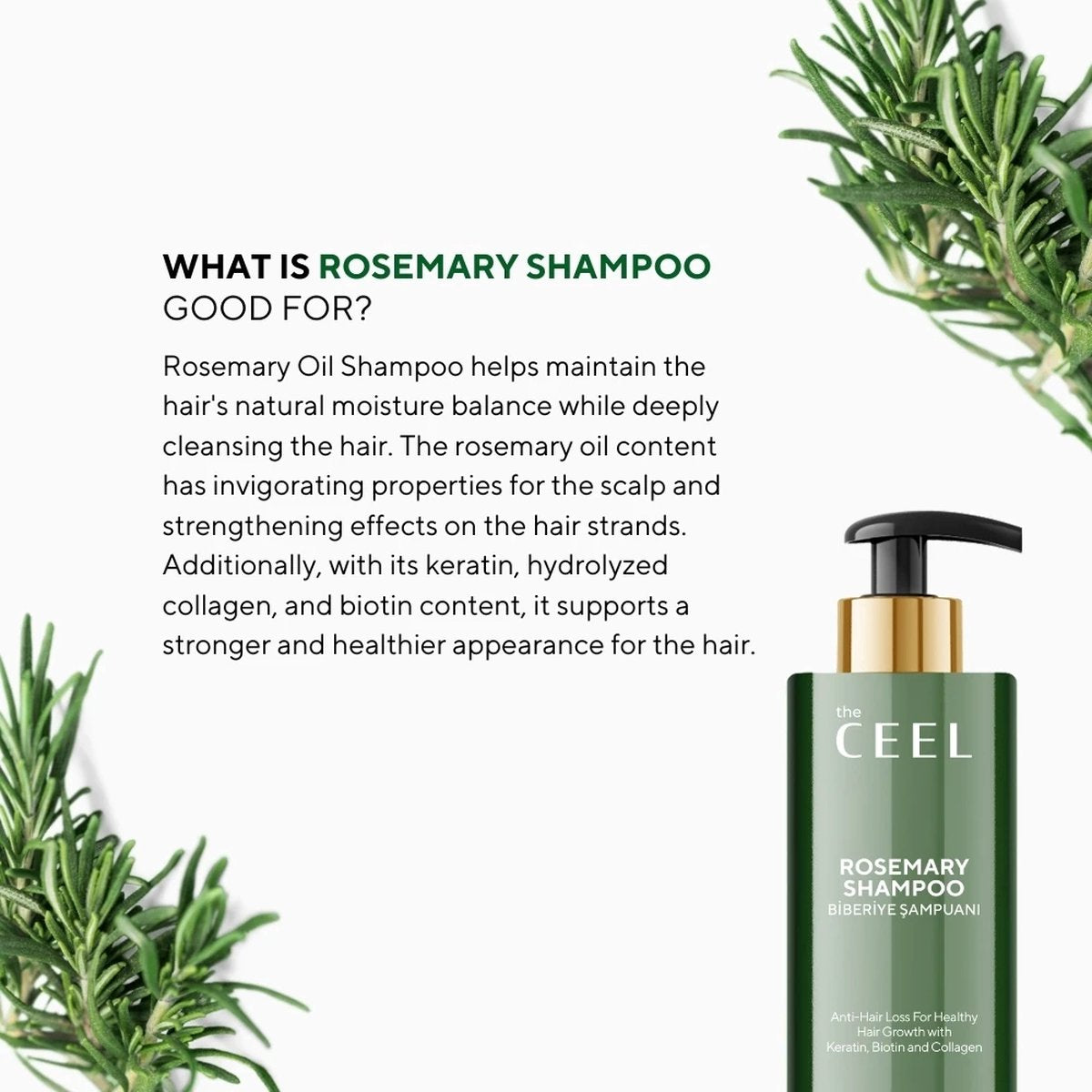 Ceel Rosemary Shampoo-250ml – For Clean, Fresh-Looking Hair