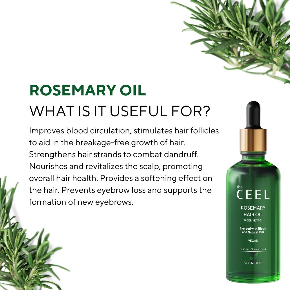 Ceel Rosemary Hair Oil-50ml – Scalp and Hair Nourishment